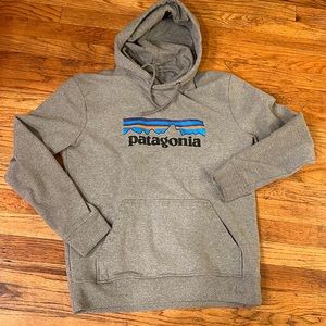Patagonia gray hoodie size medium